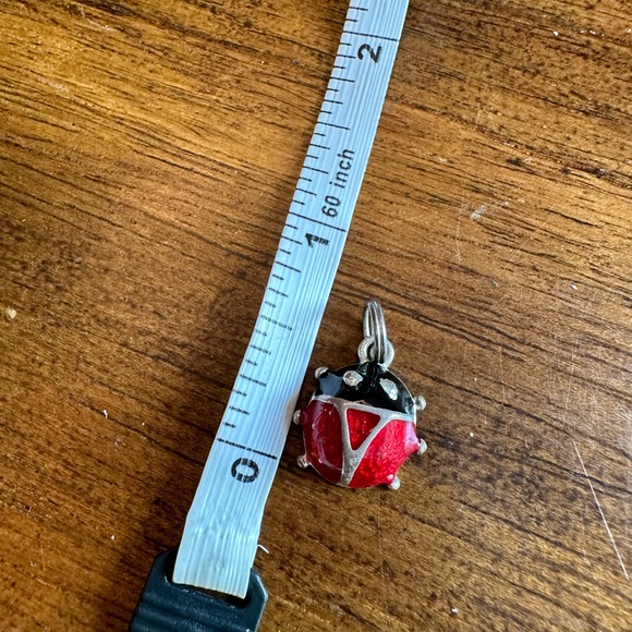 Ladybug Charm - Picture 2 of 3